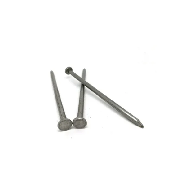 Steel Nail 1.5 inch 20pcs